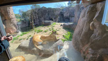 天王寺動物園に投稿された画像（2021/2/27）