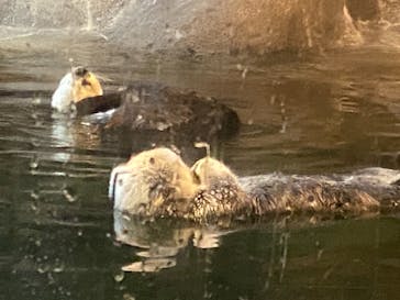 株式会社Gに投稿された画像（2021/2/27）