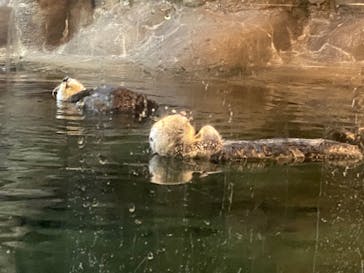 株式会社Gに投稿された画像（2021/2/27）