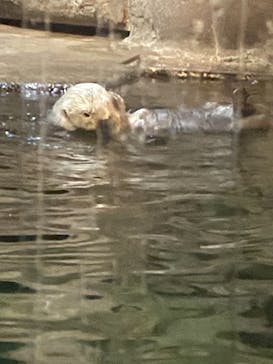 株式会社Gに投稿された画像（2021/2/27）