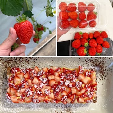 伊賀の里モクモク手づくりファームに投稿された画像（2021/2/27）