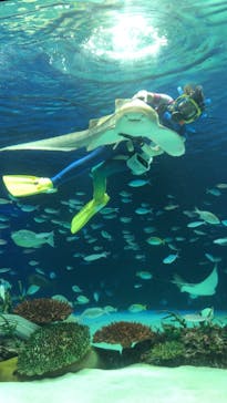 サンシャイン水族館に投稿された画像（2021/2/27）