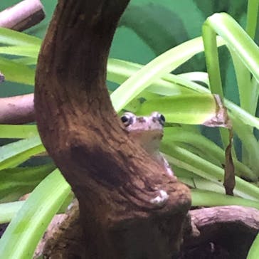 サンシャイン水族館に投稿された画像（2021/2/27）