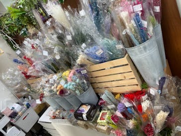 ずこうしつ〜sugamo〜に投稿された画像（2021/2/27）