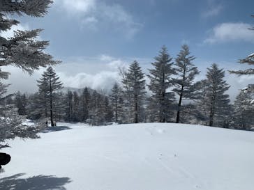 志賀高原マウンテンリゾートに投稿された画像（2021/2/27）