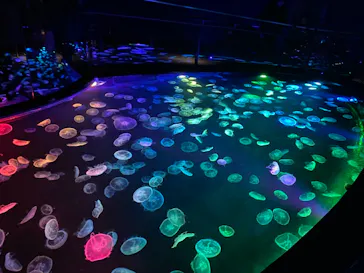 すみだ水族館に投稿された画像（2021/2/27）