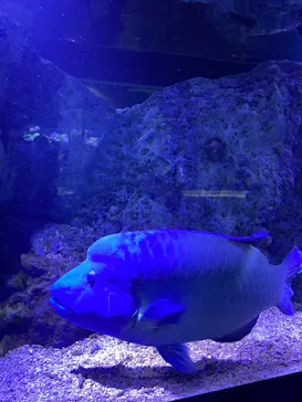 すみだ水族館に投稿された画像（2021/2/27）