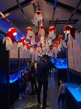 すみだ水族館に投稿された画像（2021/2/27）