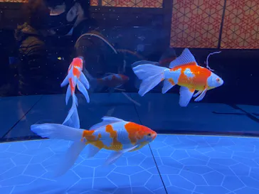 すみだ水族館に投稿された画像（2021/2/27）