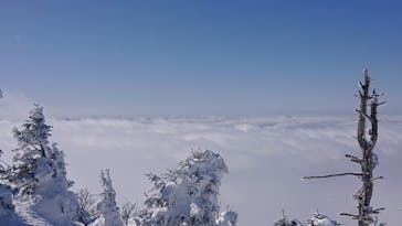 志賀高原マウンテンリゾートに投稿された画像（2021/2/27）