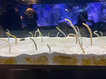 すみだ水族館に投稿された画像（2021/2/27）