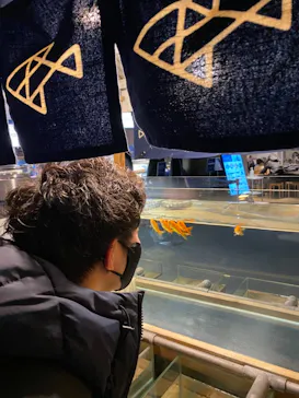 すみだ水族館に投稿された画像（2021/2/27）