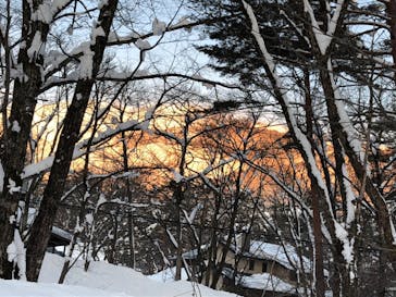 白馬八方尾根スキー場に投稿された画像（2021/2/27）