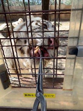 群馬サファリパークに投稿された画像（2021/2/27）