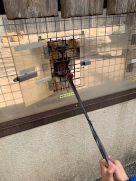 群馬サファリパークに投稿された画像（2021/2/27）