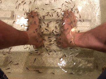 有馬温泉 太閤の湯に投稿された画像（2021/2/27）