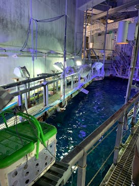 大分マリーンパレス水族館 「うみたまご」に投稿された画像（2021/2/27）