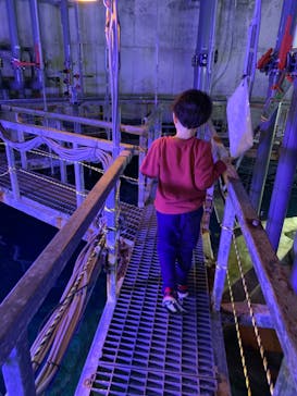 大分マリーンパレス水族館 「うみたまご」に投稿された画像（2021/2/27）