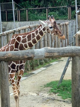 沖縄こどもの国に投稿された画像（2021/2/27）