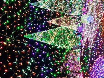 よみうりランド 遊園地に投稿された画像（2021/2/27）