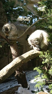 那須どうぶつ王国に投稿された画像（2021/2/27）