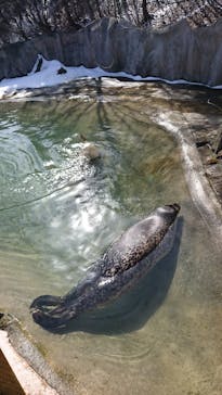 那須どうぶつ王国に投稿された画像（2021/2/27）