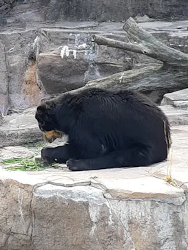 天王寺動物園に投稿された画像（2021/2/27）