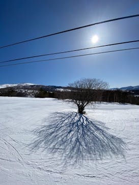菅平高原スノーリゾートに投稿された画像（2021/2/28）
