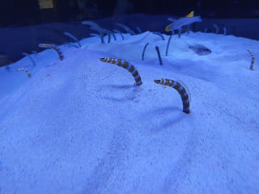 マリンワールド海の中道に投稿された画像（2021/2/28）