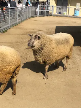 天王寺動物園に投稿された画像（2021/2/28）