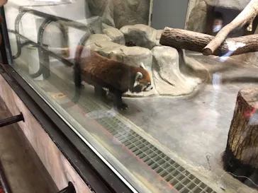 天王寺動物園に投稿された画像（2021/2/28）