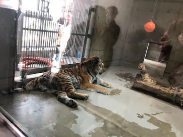 天王寺動物園に投稿された画像（2021/2/28）