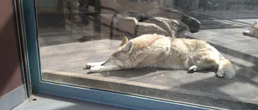 天王寺動物園に投稿された画像（2021/2/28）