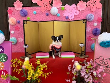 わんダフルネイチャーヴィレッジに投稿された画像（2021/2/28）