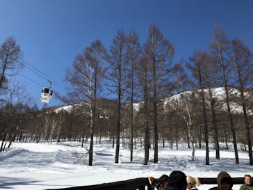 志賀高原マウンテンリゾートに投稿された画像（2021/2/28）