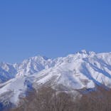 白馬岩岳スノーフィールドに投稿された画像（2021/2/28）