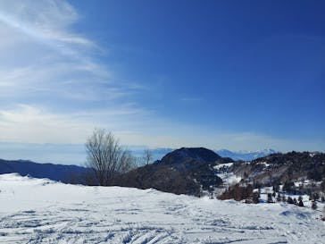 YAMABOKUワイルドスノーパークに投稿された画像（2021/2/28）