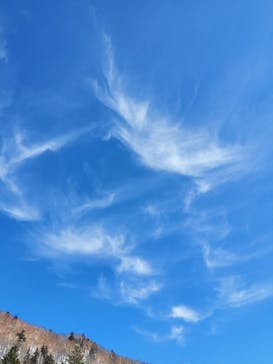 YAMABOKUワイルドスノーパークに投稿された画像（2021/2/28）