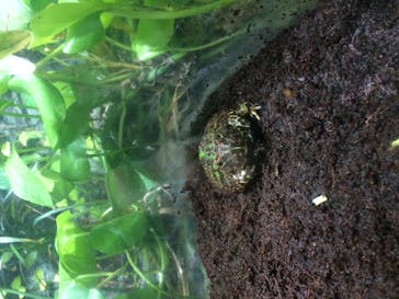 サンシャイン水族館に投稿された画像（2021/2/28）