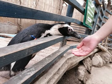 ゼロ距離水族館 伊勢シーパラダイスに投稿された画像（2021/2/28）