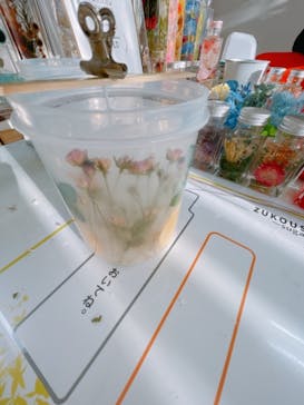 ずこうしつ〜sugamo〜に投稿された画像（2021/2/28）