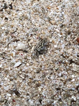 サンシャイン水族館に投稿された画像（2021/2/28）