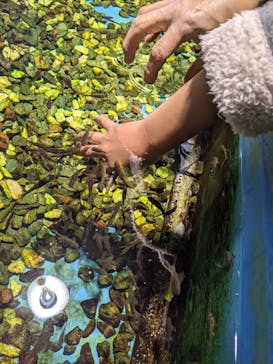 ゼロ距離水族館 伊勢シーパラダイスに投稿された画像（2021/2/28）