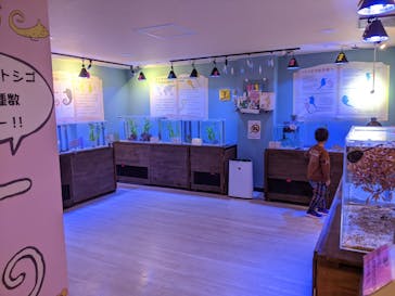 ゼロ距離水族館 伊勢シーパラダイスに投稿された画像（2021/2/28）