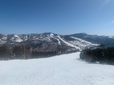 志賀高原焼額山スキー場に投稿された画像（2021/2/28）