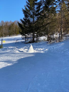 しらかば2in1スキー場に投稿された画像（2021/2/28）