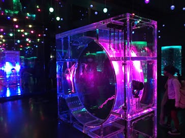 マクセル アクアパーク品川に投稿された画像（2021/2/28）