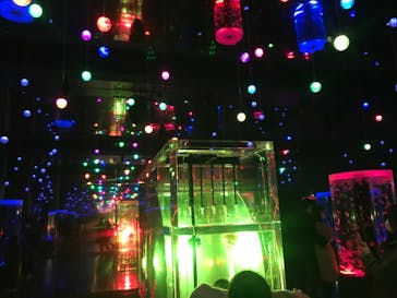 マクセル アクアパーク品川に投稿された画像（2021/2/28）