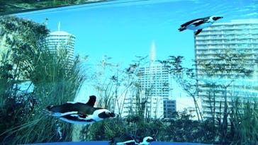 サンシャイン水族館に投稿された画像（2021/2/28）