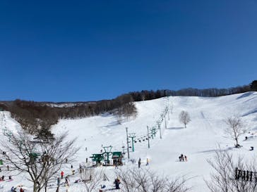 水上高原 藤原スキー場に投稿された画像（2021/2/28）